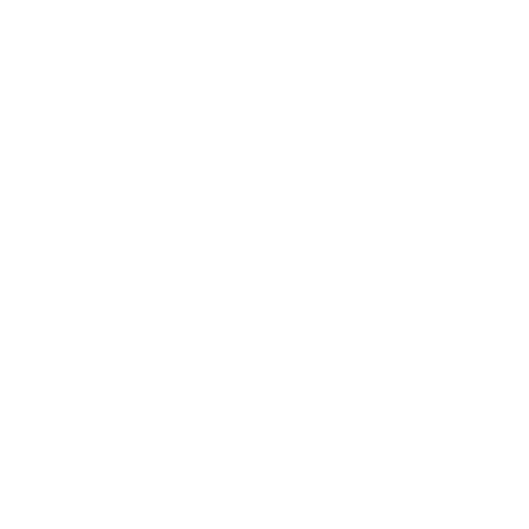 BV logo_hvid